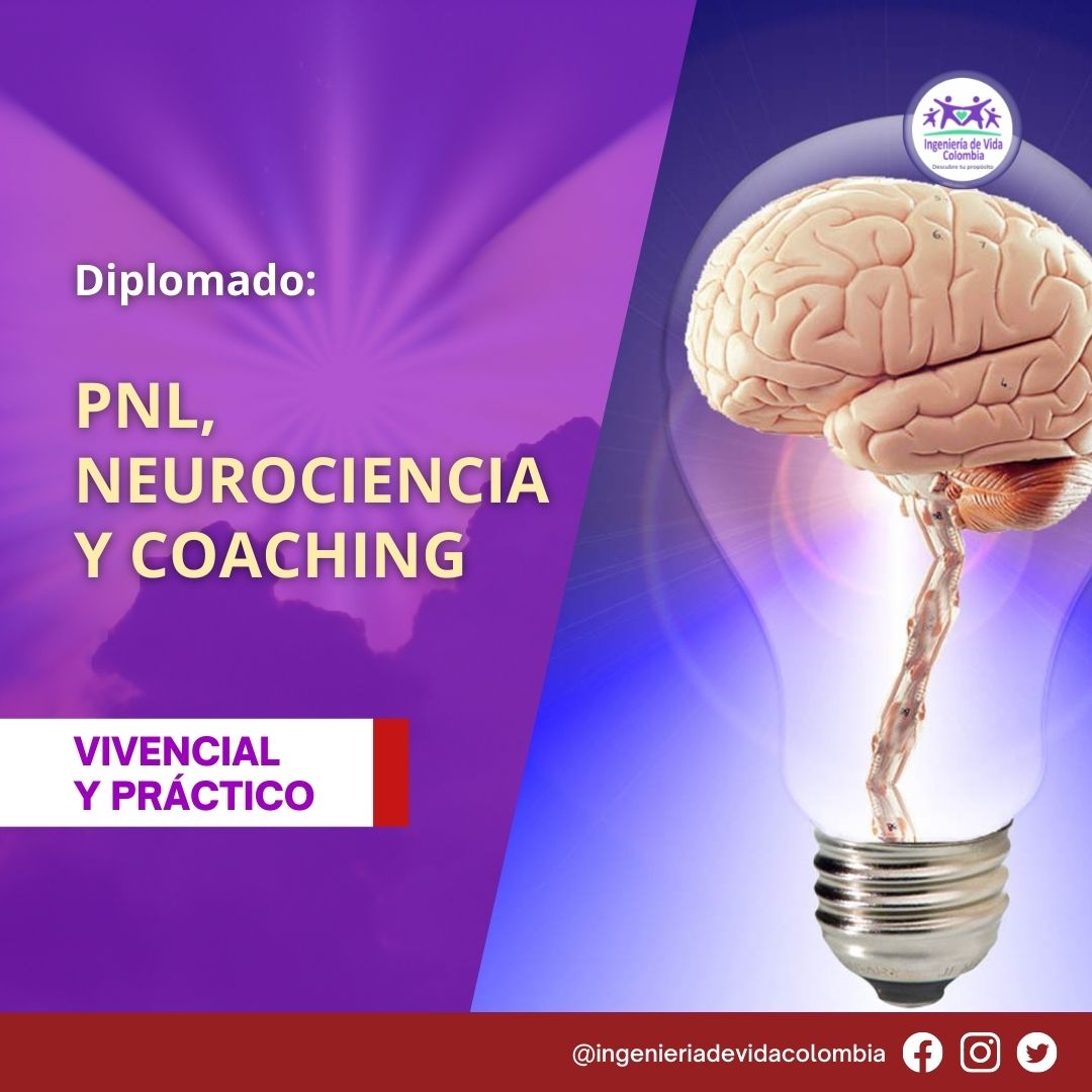 DIPLOMADO LA MAGIA DE TRANSFORMARTE