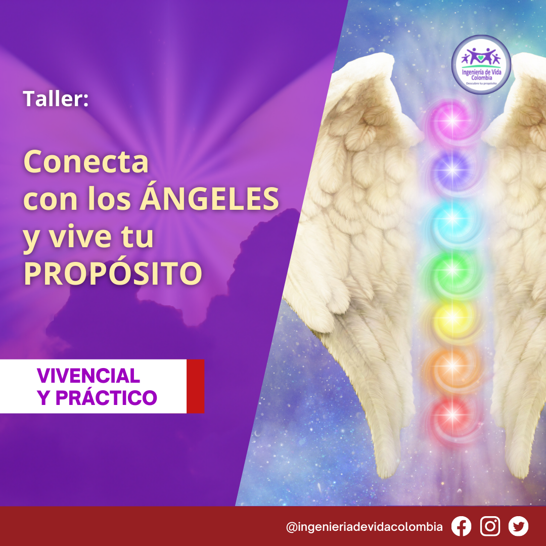 Conecta con los ÁNGELES y vive tu PROPÓSITO
